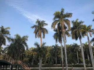 Panjab University Chandigarh Campus photo 10